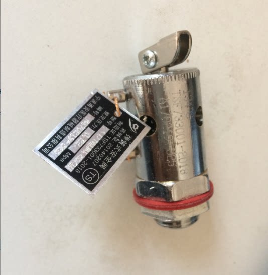 Jiangyin Binjiang LS-120LJ 150LJ high pressure steam sterilizer sterilizer accessories safety valve release valve