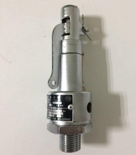 Ningbo Yongan safety valve tower DN15 0 24MPA Shandong Xinhua pulsation vacuum sterilizer accessories original factory