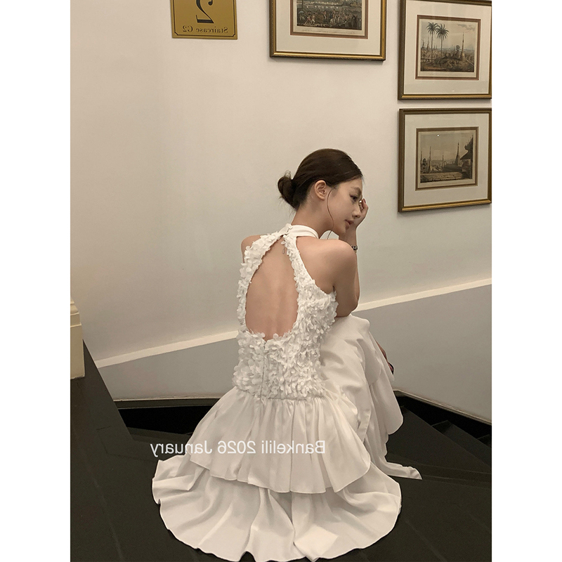 'Waltz Ball' Halter Neck, Waist-Cinching, Backless Princess Multi-Layered Dress, 2026 Spring and Summer New Style, Elegant Long Dress