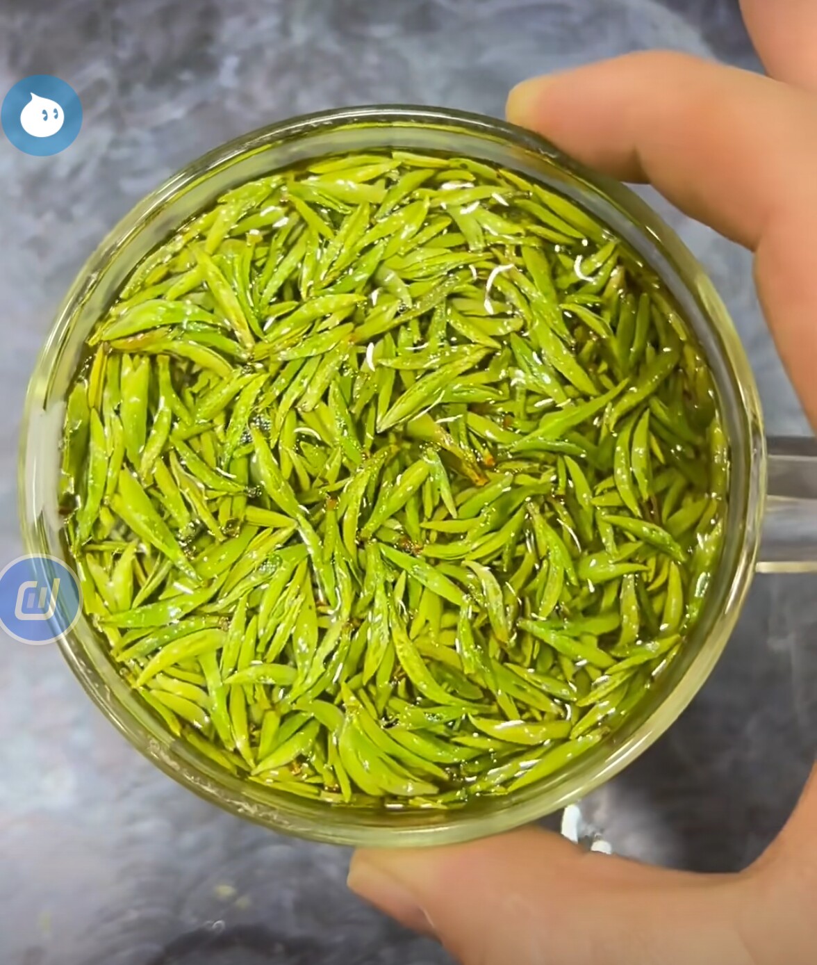 徐振兴茶叶