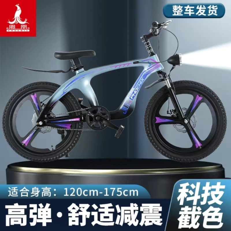 Phoenix Children's Bicycle for Boys and Girls Aged 6-9-13, Elementary School Students' Variable-Speed Bike, Large Children's Bicycle with Disc Brakes, Mountain Bike