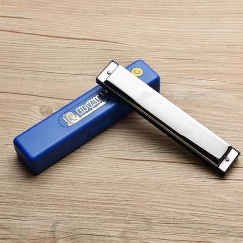 Губная гармошка для взрослых, профессиональная практика для школьников, Германия