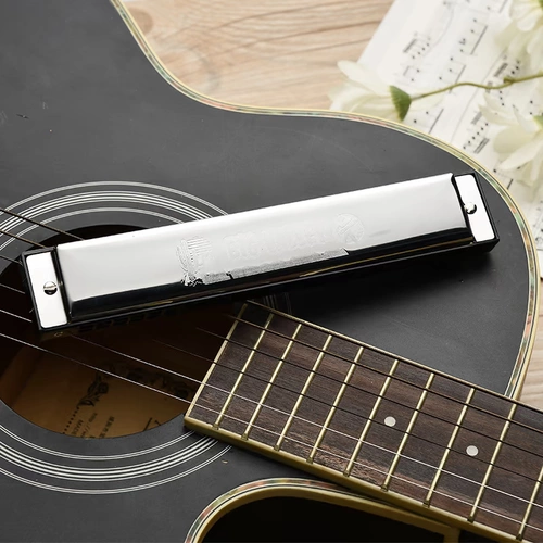 Губная гармошка для взрослых, профессиональная практика для школьников, Германия