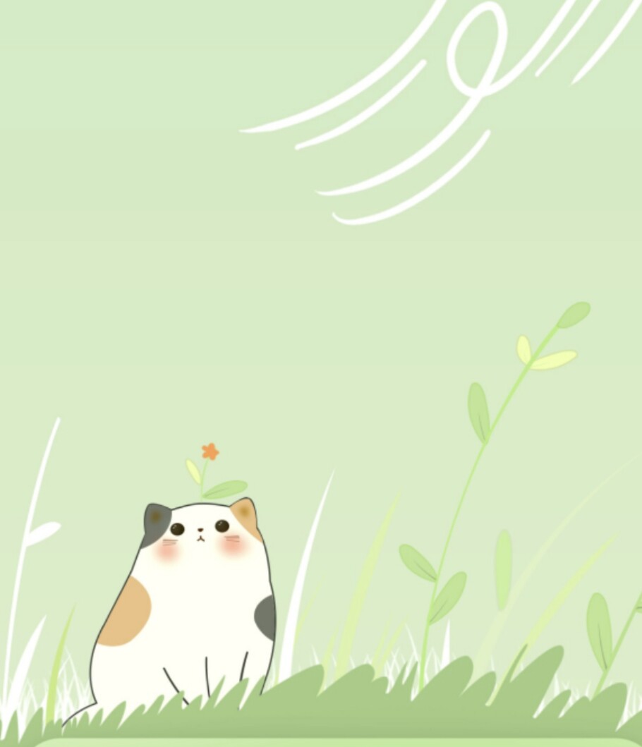 星纱