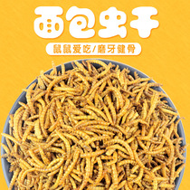 Hamster Bread Worm Dry Grain Staple Grain Supplies Zero Food Yellow Flour Worm Small Fish Small Shrimp Dry Hedgehog Feed Food