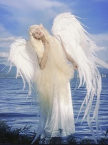 White angel wings angel wings elf photo props cosplay pure desire series