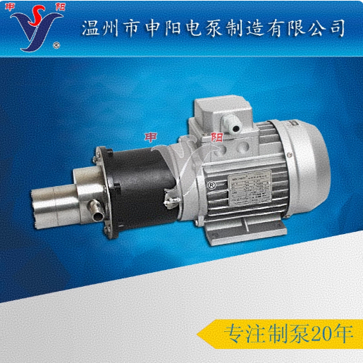 Stainless Steel Micro Gear Pump Metering Pump Magnetic Drive Gear Pump 15Cqb-10 Flow Constant