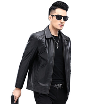 Haining genuine leather jacket mens short thin top layer pure calfskin lapel spring and autumn motorcycle leather jacket jacket