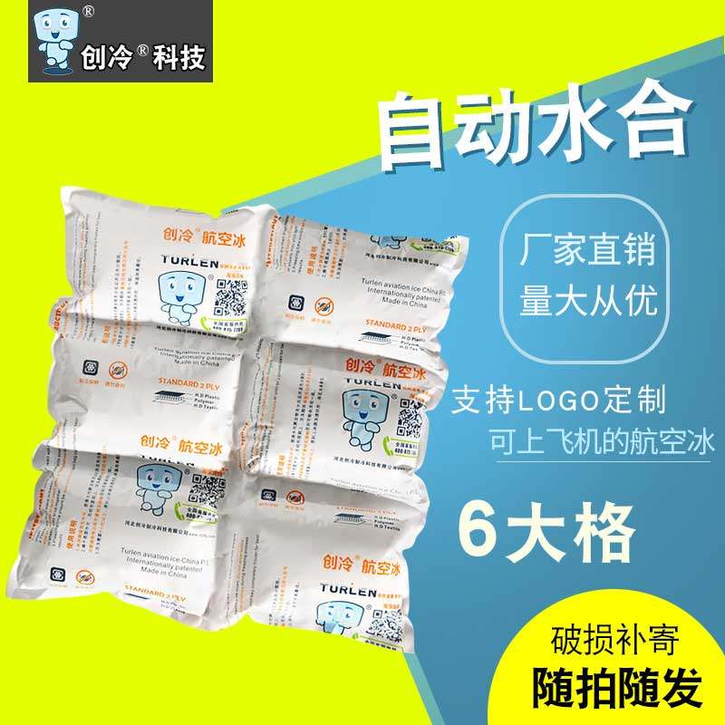 Refreshing Aviation Ice Bags Innovative technology 6 Big Seafood Foods Refrigerated water-free Automatic suction ice