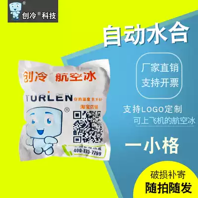 Refrigerated fresh-keeping aviation ice bag small grid seafood food Fruit Express one-time heat preservation cold compress free of water injection
