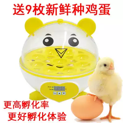 Incubator small home mini fully automatic intelligent home children's teaching bird egg chicken hatching machine