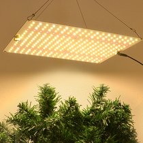 Vegetable Flowers Medicinal Herbs high light efficiency Tonic Light light full spectrum Home Led plant growth lamp Indoor imitation sunlight