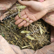 Dried fruit upper leaf stone lotus dry goods dry stone rice single leaf fruit upper leaf dry stone olive dried stone fairy peach 500g