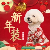 Собачья одежда, одежда династии Тан, праздничная хлопчатобумажная одежда, Теддубай Новый год, домашние животные шнауцера, двухфутовая одежда, зимний теплый чингсам