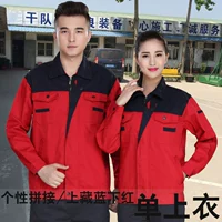 Тибетский синий Раши Дельл