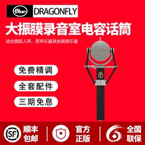 Blue Dragonfly Dragonfly large diaphragm condenser microphone K song instrument recording studio microphone instrument recording