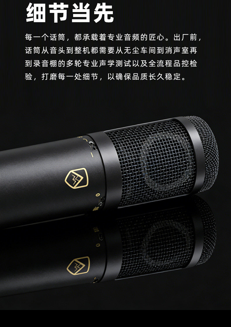 AYM A3 Pro大振膜电容话筒 有线录音配音直播 K 歌专业收音麦克风