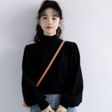 Демисезонный черный цветной базовый приятный телу зимний лонгслив, фонарь, футболка, новая коллекция, высокий воротник, увеличенная толщина