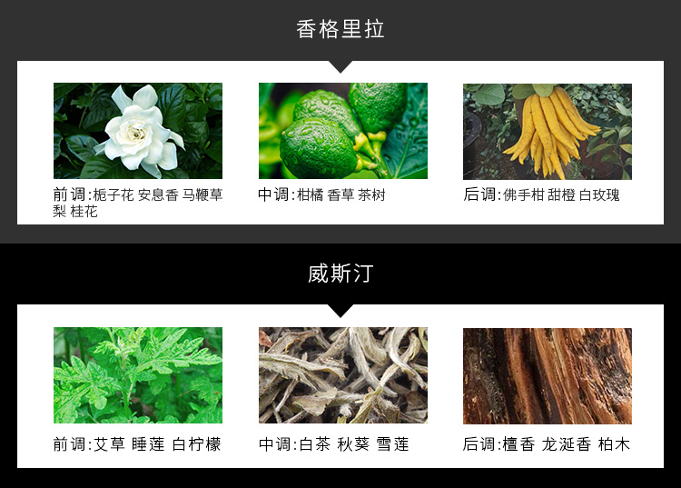 giá cây trầm hương Không có hương liệu pháp tinh dầu lửa xanh gió chuông phòng ngủ nước hoa trong nhà hương thơm kéo dài nhà vệ sinh khử mùi thơm chai hương liệu - Sản phẩm hương liệu trầm hương nguyên chất