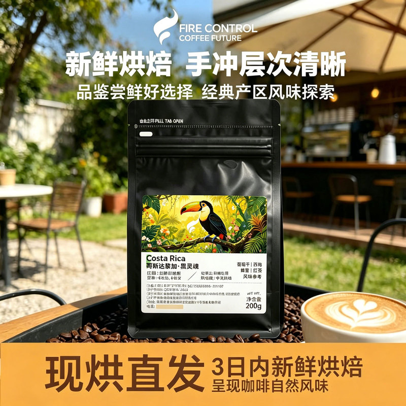 Firecraft Costa Rica Las Lajas Estate Black Soul Selection Carduaz Medium Light Roast Hand-Brewed Coffee Beans