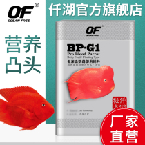 Qianhu Flagship store OF Blood parrot fish feed Red and colorful large fish Fortune fish Dragon fish food fish food