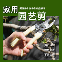 Pruning fruit tree pruning scissors Gardening garden Household repair flower construction branch flower Stainless steel floral tool