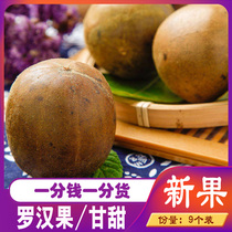 Grosvenori Tea tea dried fruit slice Fruit kernel tea Bulk Bubble water Runthrop Level wild herbal tea pot soup Grand Guilin Special production