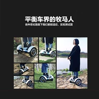 Xe cân bằng trẻ em người lớn phổ thông off-road điện với gậy đi bộ suy nghĩ xe lười hai bánh xe thăng bằng giá bao nhiêu