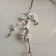 Mô phỏng đơn mận đỏ trang trí hoa giả hoa giả hoa nhựa phong cách Trung Quốc phòng khách mận đỏ trang trí đạo cụ múa - Hoa nhân tạo / Cây / Trái cây cây xương rồng giả