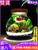 Micro View World Small Pendulum Pieces Eco Bottle Micro Landscape Aquarium construction View Bucket Fish Tank Creative Vat Office Desk Desk Desk