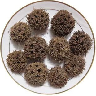 Six-six-pass road pass through maple ball maple ball maple ball maple 500 gr full of two catties