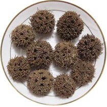 Six and six roads to the Maple ball maple tree ball Maple 500 grams full two catties