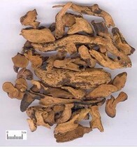 Drynaria 500g 12 yuan