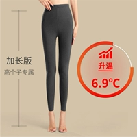 Расширить и обновлять двойные модели-темно-серых