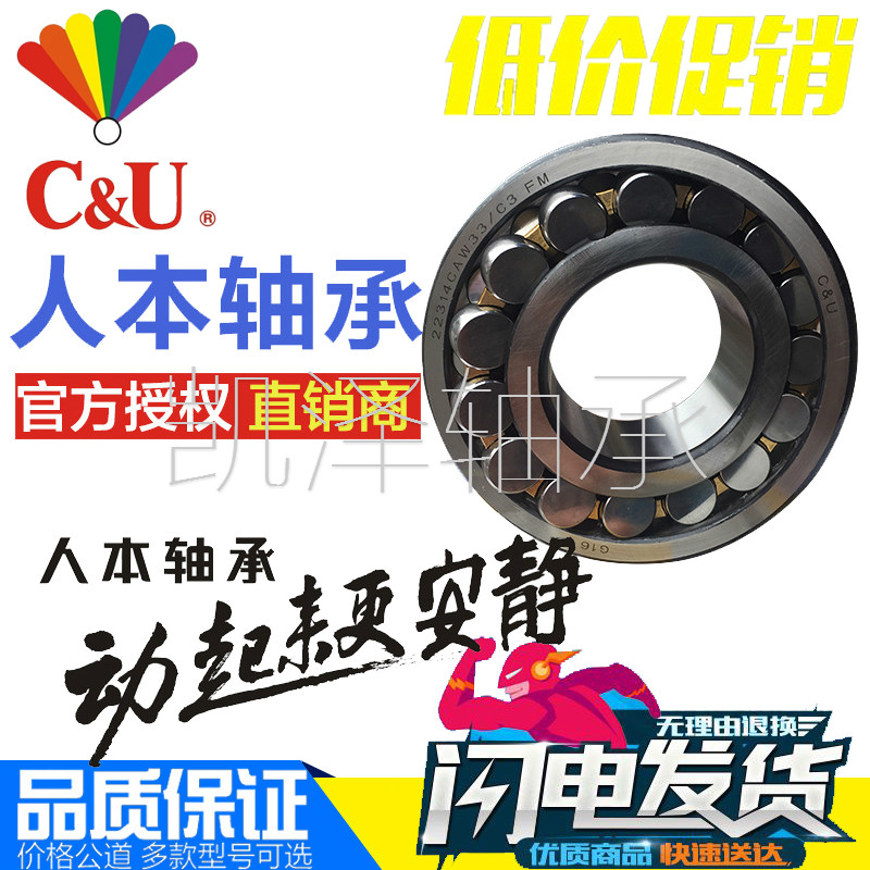 Human BenQ Aligning Roller Bearings 22314 22314 22315 22315 22317 22317 22318 22318 22319CA W33