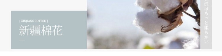 Quần lót ống lửng chống ánh sáng tụ tập kiểu ngực chạm đáy áo ngắn đẹp gợi cảm không có vòng thép mỏng phần áo ngực nữ mùa hè ao lot