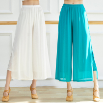 Chinese Classical Dance Broadlegged Pants Dance Clothing Womens Fluey Loose Web Yarn Open Fork Body Rhyming Utility-style Pants Acting Out
