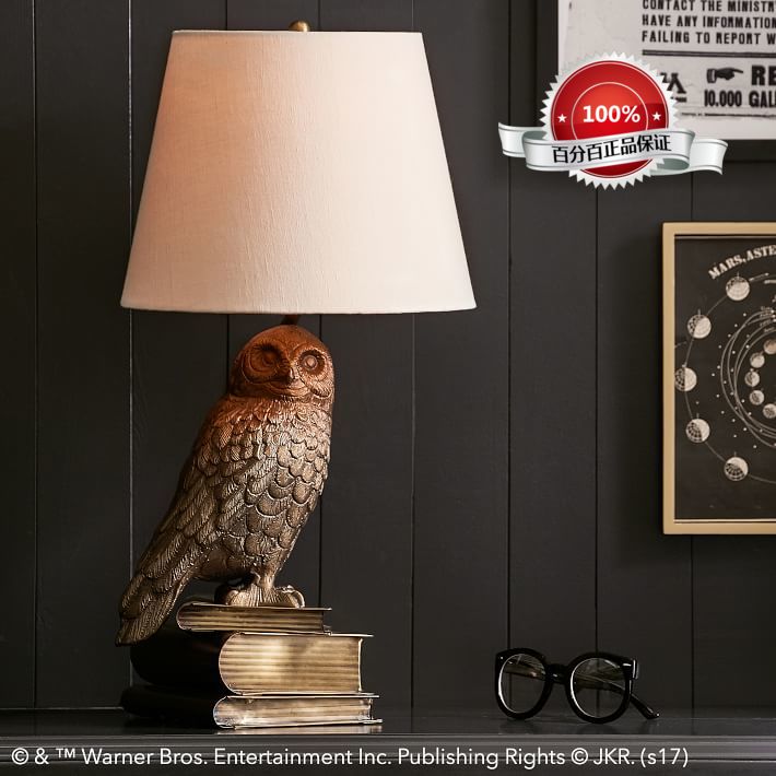 US warehouse spot New York Lower City Park imports Harry Potter's Heidewi eye light Jiong Jiong Jiong Owl Desk Lamp 