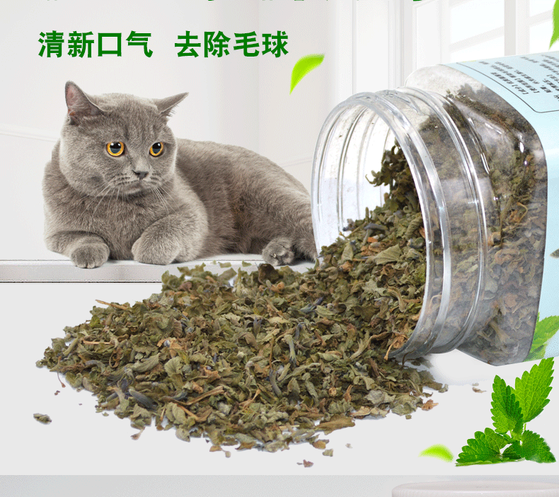 Catnip Loại Bỏ tóc bóng làm sạch miệng Cát Bạc Hà Bột Cỏ Thúc Đẩy Tiêu Hóa Cát Grass Mèo Đồ Ăn Nhẹ 250 ml đồ ăn cho mèo