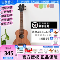 White Bear Music Adela Bear Boy mahogany spruce ukulele beginner 23-inch small guitar ukulele