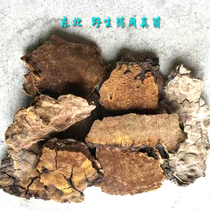 Changbai Mountain Wild Mulberry Boxwood Yellow Bark Yellow 500g