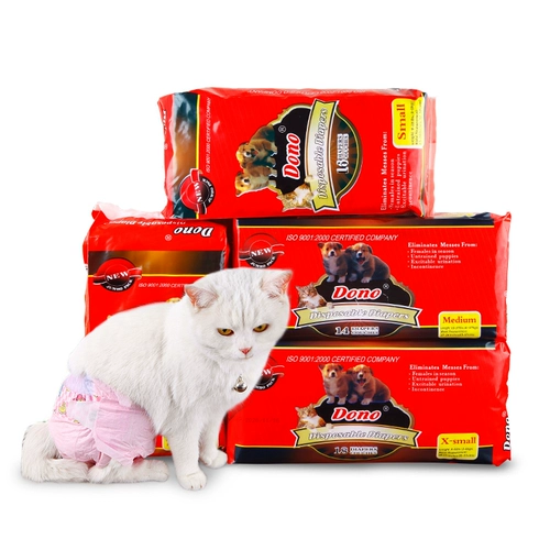 Dono Cat Biological 侥 Rochered котята и тетя тетя