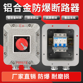 Explosion-proof circuit breaker distribution box explosion-proof air switch 10a25a32a63a control box leakage protection air switch