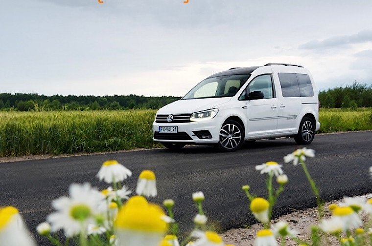 O1CN01Y0PRyr1zFK7NK2qGd !!305486684