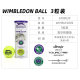 Slazenger Schlesinger tennis Wimbledon ການແຂ່ງຂັນບານສູງ elastic ການປະຕິບັດດຽວເລີ່ມຕົ້ນການຝຶກອົບຮົມບານ 3 ປ່ຽງ