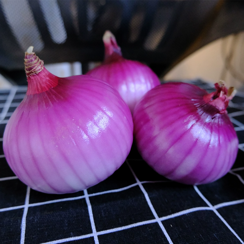 Yunnan Zi Pi Onion 10 фунтов свежего зеленого лукового фермеров Самостоятельно овощей, красная кожаная круглое зеленый лук, сладкий сезон