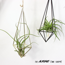 Air Pineapples Iron Art Geometric Quadrilateral can hang flower shelf Flower Tostereoscopic can hang with air Fengeless flower pots