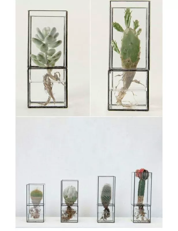 Cây thủy canh Bắc Âu mọng nước chậu hoa nhà kính hoa retro hình học cắm hoa bình hoa Hàn Quốc chậu hoa - Vase / Bồn hoa & Kệ