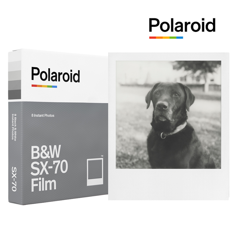 Polaroid Pauli comes in SX-70 black and white paper clapping up the negatives white side a box of 8 sheets