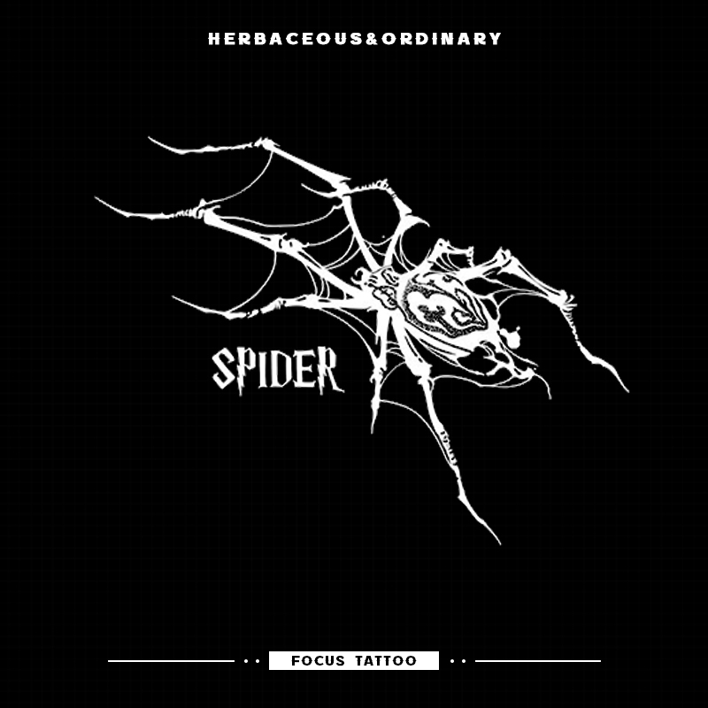High-End Anti-Scratch English Letter Imitation Tattoo Spider Waist Thigh Long-Lasting Herbal Tattoo Sticker Semi-Permanent